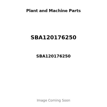 SBA120176250 - EXHAUST VALVE - 45 DEGREE ANGLE