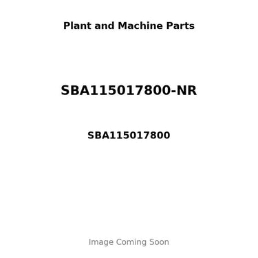SBA115017800-NR - PISTON, PIN & CLIPS STD