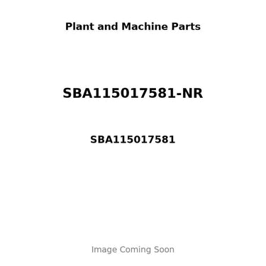 SBA115017581-NR - PISTON, PIN & CLIPS - STD
