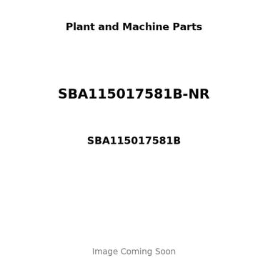 SBA115017581B-NR - PISTON, PIN & CLIPS - .50MM