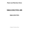 SBA115017551-NR - PISTON, PIN & CLIPS - STD