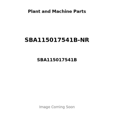 SBA115017541B-NR - PISTON, PIN & CLIPS - .50MM
