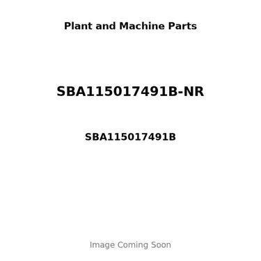 SBA115017491B-NR - PISTON, PIN & CLIPS - .50MM