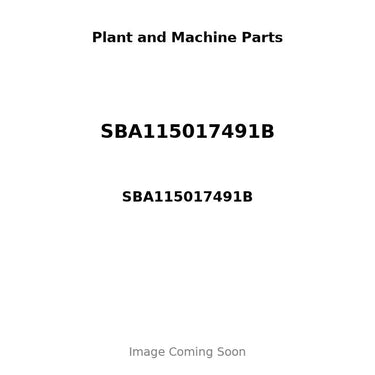 SBA115017491B - PISTON, PIN & RING KIT - .50MM