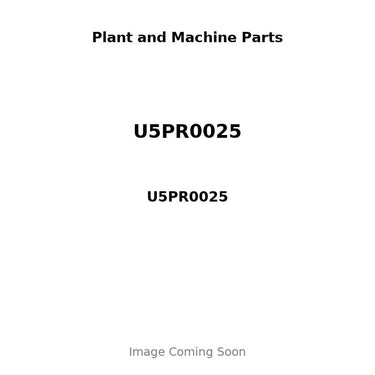 U5PR0025 - PISTON, PIN & RING KIT