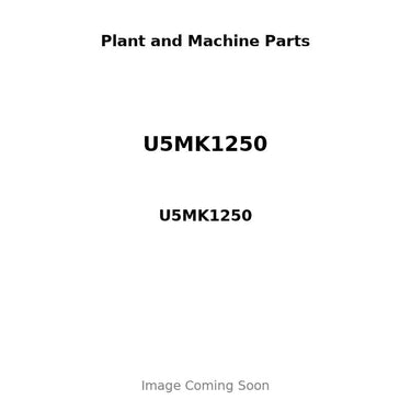 U5MK1250 - PISTON, PIN & CLIPS