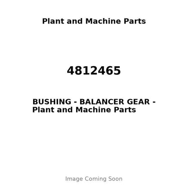 4812465 - BUSHING - BALANCER GEAR