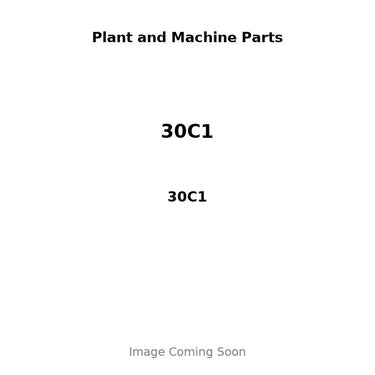 30C1 - PISTON, PIN & RING KIT