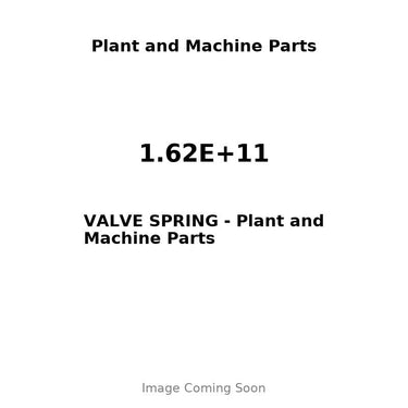1.62E+11 - VALVE SPRING