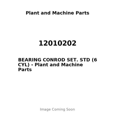 12010202 - BEARING CONROD SET. STD (6 CYL)