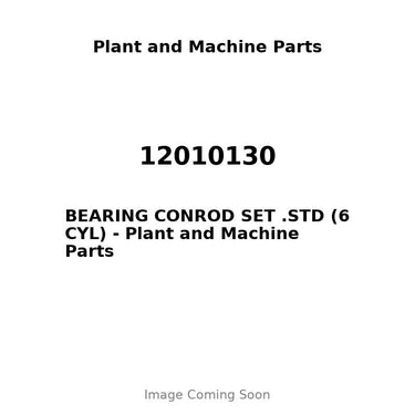 12010130 - BEARING CONROD SET .STD (6 CYL)