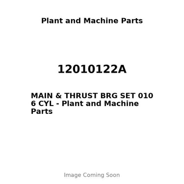 12010122A - MAIN & THRUST BRG SET 010 6 CYL
