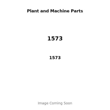 1573 - PISTON, PIN & RING KIT