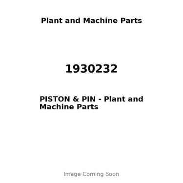 1930232 - PISTON & PIN