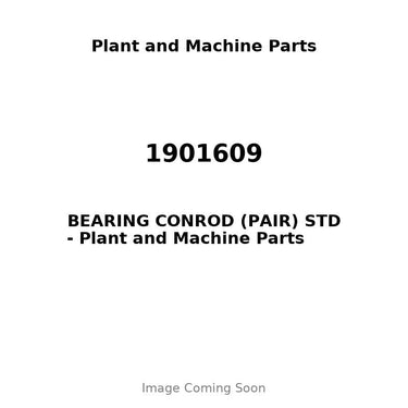 1901609 - BEARING CONROD (PAIR) STD