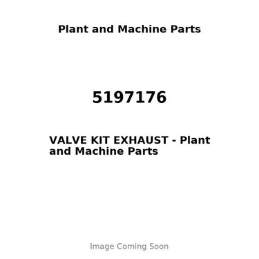 5197176 - VALVE KIT EXHAUST