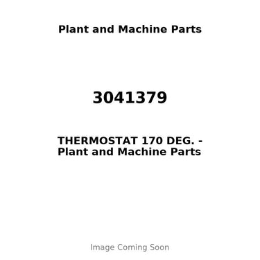 3041379 - THERMOSTAT 170 DEG.