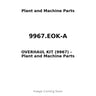 9967.EOK-A - OVERHAUL KIT (9967)