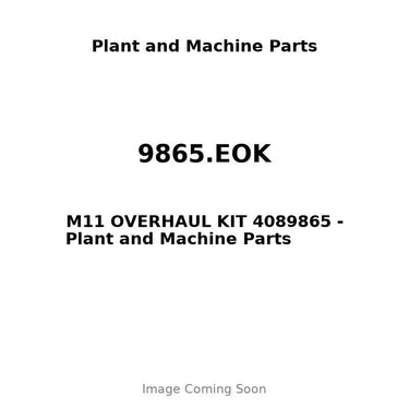 9865.EOK - M11 OVERHAUL KIT 4089865