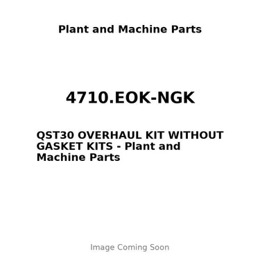 4710.EOK-NGK - QST30 OVERHAUL KIT WITHOUT GASKET KITS