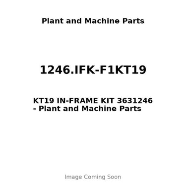 1246.IFK-F1KT19 - KT19 IN-FRAME KIT 3631246