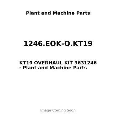1246.EOK-O.KT19 - KT19 OVERHAUL KIT 3631246