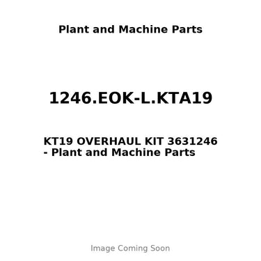 1246.EOK-L.KTA19 - KT19 OVERHAUL KIT 3631246
