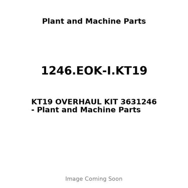 1246.EOK-I.KT19 - KT19 OVERHAUL KIT 3631246