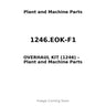 1246.EOK-F1 - OVERHAUL KIT (1246)