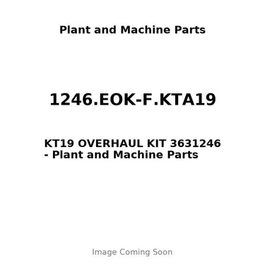 1246.EOK-F.KTA19 - KT19 OVERHAUL KIT 3631246