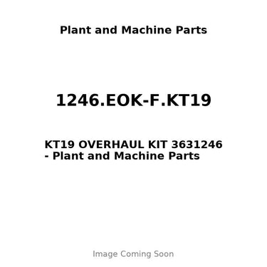 1246.EOK-F.KT19 - KT19 OVERHAUL KIT 3631246