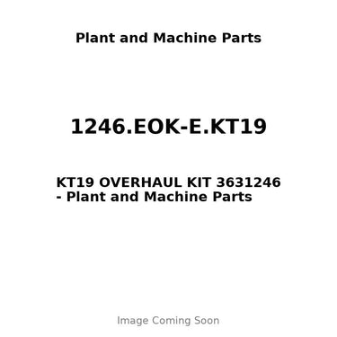 1246.EOK-E.KT19 - KT19 OVERHAUL KIT 3631246