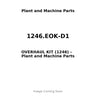 1246.EOK-D1 - OVERHAUL KIT (1246)