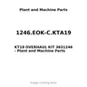 1246.EOK-C.KTA19 - KT19 OVERHAUL KIT 3631246