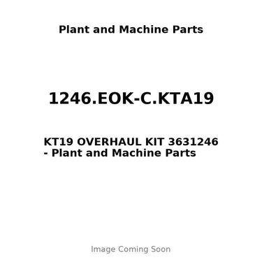 1246.EOK-C.KTA19 - KT19 OVERHAUL KIT 3631246