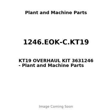 1246.EOK-C.KT19 - KT19 OVERHAUL KIT 3631246