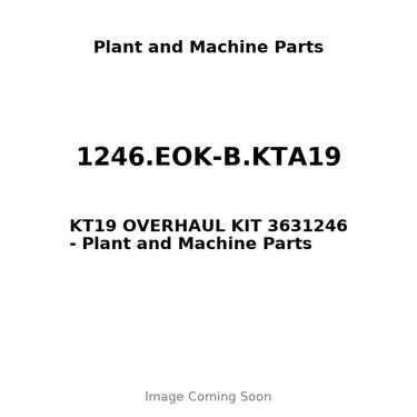 1246.EOK-B.KTA19 - KT19 OVERHAUL KIT 3631246