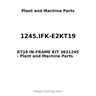 1245.IFK-E2KT19 - KT19 IN-FRAME KIT 3631245