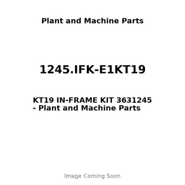 1245.IFK-E1KT19 - KT19 IN-FRAME KIT 3631245