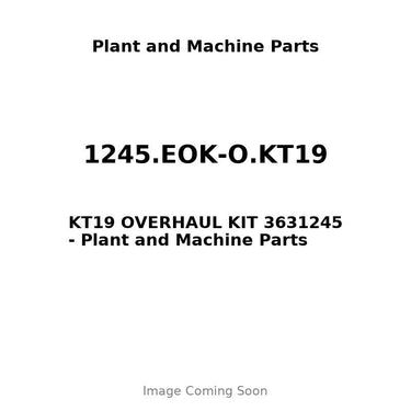 1245.EOK-O.KT19 - KT19 OVERHAUL KIT 3631245