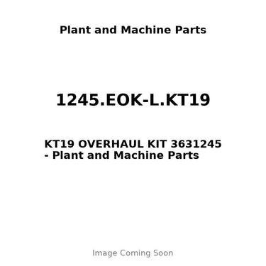1245.EOK-L.KT19 - KT19 OVERHAUL KIT 3631245