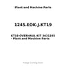 1245.EOK-J.KT19 - KT19 OVERHAUL KIT 3631245