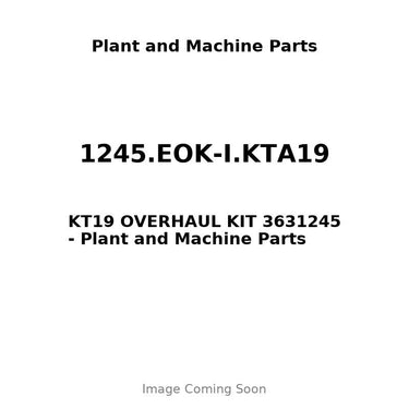 1245.EOK-I.KTA19 - KT19 OVERHAUL KIT 3631245