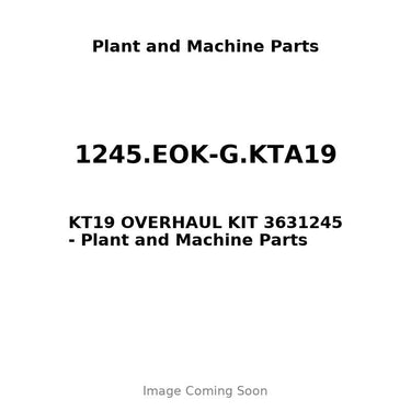 1245.EOK-G.KTA19 - KT19 OVERHAUL KIT 3631245