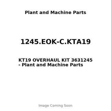 1245.EOK-C.KTA19 - KT19 OVERHAUL KIT 3631245
