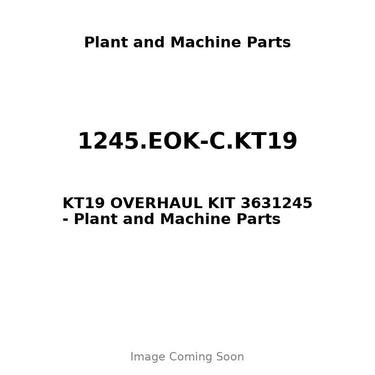 1245.EOK-C.KT19 - KT19 OVERHAUL KIT 3631245