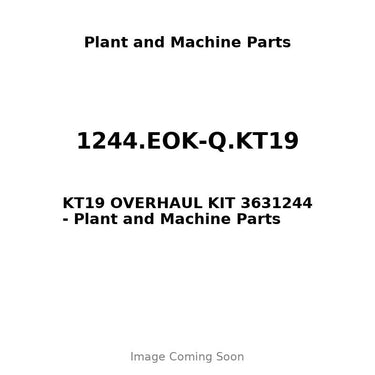 1244.EOK-Q.KT19 - KT19 OVERHAUL KIT 3631244