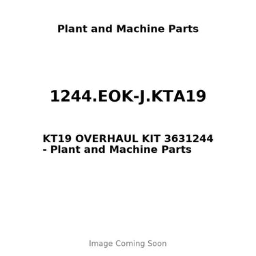 1244.EOK-J.KTA19 - KT19 OVERHAUL KIT 3631244