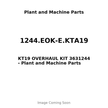 1244.EOK-E.KTA19 - KT19 OVERHAUL KIT 3631244
