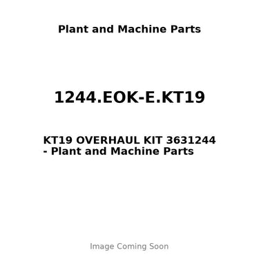 1244.EOK-E.KT19 - KT19 OVERHAUL KIT 3631244